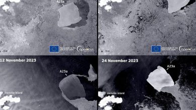 Photo of L’iceberg più grande del mondo in movimento dopo oltre 30 anni: è tre volte New York