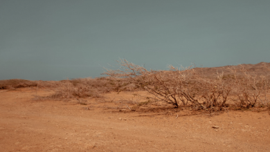 Photo of Siccità: nel Nord Italia il clima dell’Etiopia. Lo studio