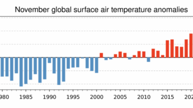 Photo of Il 2023 è l’anno più caldo della storia: i dati Copernicus