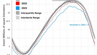 Photo of Antartide, accelera la fusione del ghiaccio dopo il rallentamento di novembre