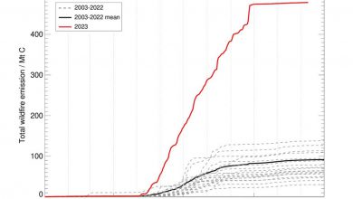 Photo of Incendi, quasi un quarto delle emissioni globali del 2023 causato dai roghi in Canada