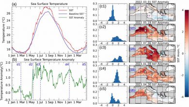 Photo of Mediterraneo, tra maggio 2022 e maggio 2023 l’ondata di caldo più intensa degli ultimi 40 anni