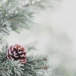 tendenza meteo dicembre