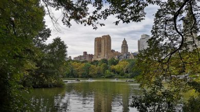 Photo of Ondata di calore record negli Stati Uniti: fino a 40°C a New York!