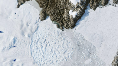Photo of La Groenlandia sta perdendo 30 milioni di tonnellate di ghiaccio all’ora