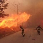 incendi grecia