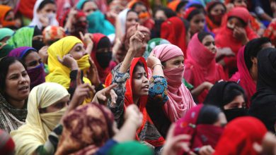 Photo of Cambiamenti climatici e diffusione della dengue sono strettamente collegati