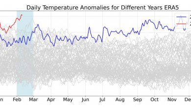 Photo of Caldo inquietante a livello globale in questa prima metà di febbraio 2024