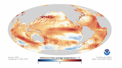 Photo of El Niño si avvia verso la fine: le conseguenze