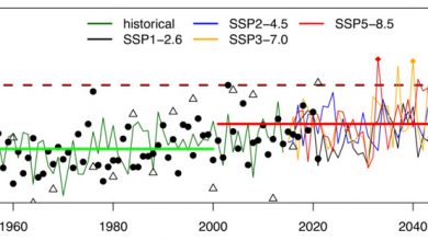 Photo of Olimpiadi 2024 di Parigi e i rischi di ondate di calore estreme nel cuore dell’estate