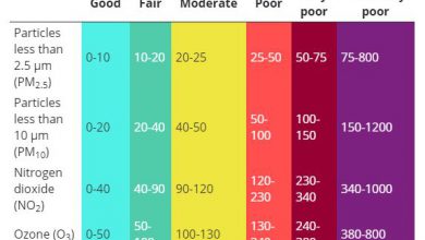 Photo of Smog e Indice Qualità dell’Aria: di chi fidarti per sapere cosa respiri?