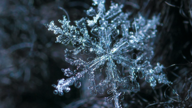 Photo of Meteo Italia: attese abbondanti nevicate sulle Alpi. Anche più di mezzo metro di neve fresca
