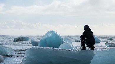 Photo of Orso polare dorme sull’iceberg: la foto premiata racconta della bellezza e fragilità dell’Artico