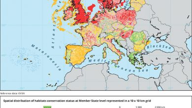 Photo of Il Parlamento europeo ha approvato la legge sul ripristino della natura