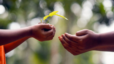 Photo of Tutela dell’ambiente in Costituzione: quanto ne sanno gli italiani?