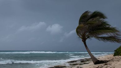 Photo of Uragani: ritirati i nomi Otis e Dora, i più catastrofici del 2023