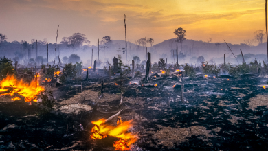 Photo of Amazzonia, imperversano i megaincendi: a febbraio emissioni di carbonio pari a quelle che la Svizzera emette in un anno