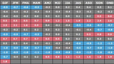 Photo of Oceani mai così bollenti. Cosa dobbiamo aspettarci nel 2024 dopo il picco di El Niño?