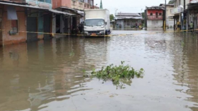 Photo of El Niño: in Ecuador piogge cresciute del 300%