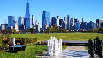 Photo of Una foresta ‘tascabile’ in arrivo a Manhattan: ma di cosa si tratta?