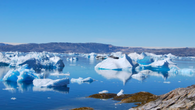Photo of L’Artico da bianco a blu? Estati senza ghiaccio possibili entro il 2035