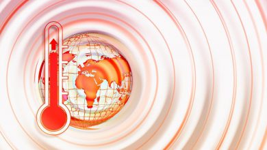 Photo of Cambiamenti climatici e inflazione alimentare. Lo studio