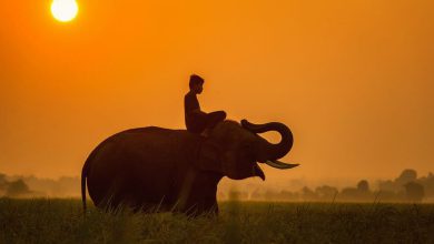 Photo of India nella morsa del caldo: ondata di caldo record nel Nord