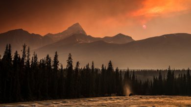 Photo of Copernicus: il fumo degli incendi in Canada raggiunge l’Europa