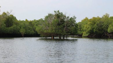 Photo of Kenya, non c’è pace: nuove gravi inondazioni e oltre 70 vittime