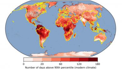 Photo of Caldo estremo, oltre 6 miliardi di persone esposte a temperature estreme per 1 mese su 12