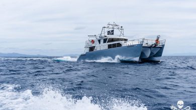 Photo of Protezione degli oceani: grandi risultati sono stati raggiunti grazie ai volontari di Sea Shepherd