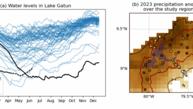 Photo of Canale di Panama, la prolungata siccità sarebbe stata “improbabile” senza El Niño: lo studio