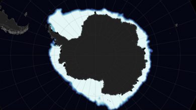 Photo of Antartide, staccato un iceberg più grande dell’Isola d’Elba
