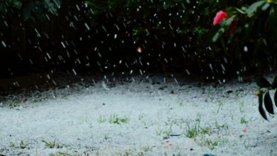 Photo of Meteo domani: rischio temporali e grandinate al Nord, caldo estivo al Centro-Sud