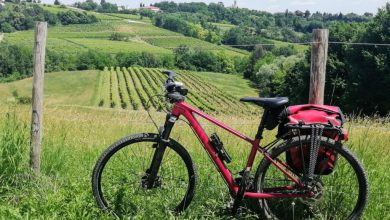 Photo of Il 3 giugno ricorre la Giornata mondiale della Bicicletta: FIAB ne approfitta celebrare la Dichiarazione Europea sulla Ciclabilità
