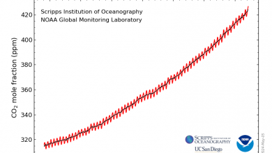 Photo of CO2, le concentrazioni di anidride carbonica aumentano più velocemente che mai