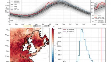 Photo of Lo stretto legame tra ondate di caldo marine e terrestri: lo studio