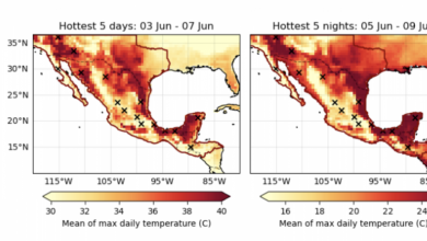 Photo of Il cambiamento climatico ha reso l’ondata di calore negli Stati Uniti e in Messico 35 volte più probabile