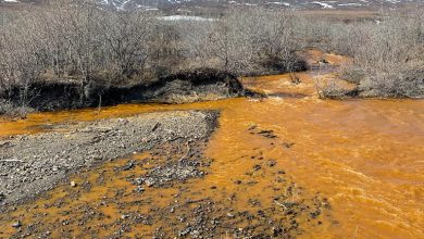 Photo of In Alaska i fiumi stanno diventando arancioni: è colpa della crisi climatica