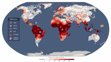 Photo of Caldo estremizzato dal riscaldamento globale per 1 persona su 4 durante l’ultimo trimestre