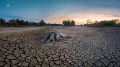 Photo of Ogni 17 giugno si celebra la “Giornata mondiale per la lotta alla desertificazione e alla siccità”. L’azienda SEAS da il suo innovativo contributo