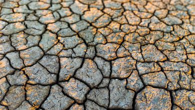Photo of Siccità al Sud, il lago di Occhito perde un milione di metri cubi di acqua in un solo giorno
