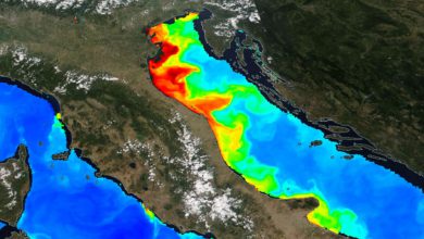 Photo of Mare Adriatico verde e molto caldo: la fioritura di alghe si vede dallo spazio