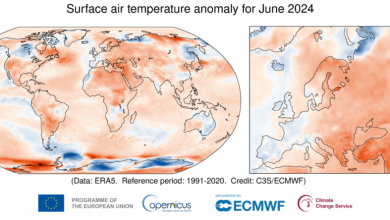 Photo of Giugno 2024, il più caldo a livello globale. Ora sono 13 mesi consecutivi di caldo record