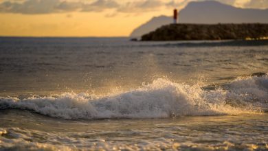 Photo of Mare Mediterraneo in sofferenza da inquinamento: dal nuovo report WWF non provengono buone notizie