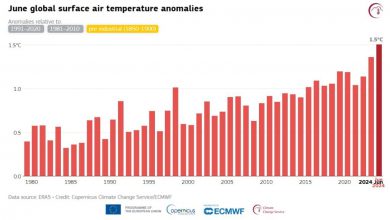 Photo of Caldo estremo in Sud America: un’estate di temperature record e rischi ambientali