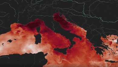 Photo of Mediterraneo mai così caldo: nuovo record di temperatura superficiale ad agosto 2024