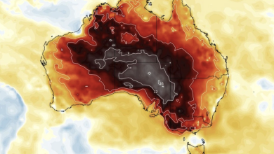 Photo of L’Australia meridionale ha vissuto il giorno invernale più caldo di sempre: 38.5°C