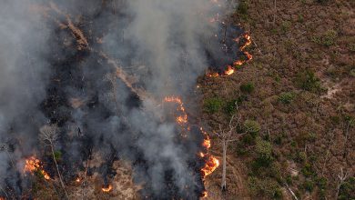 Photo of Buone e cattive notizie dall’Amazzonia tra deforestazione ed incendi