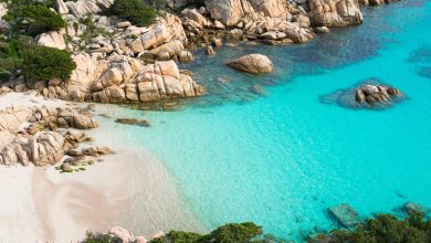 Photo of Il mare in Italia è più pulito della media europea: le regioni migliori